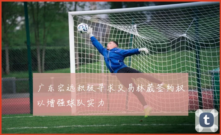 广东宏远积极寻求交易林葳签约权以增强球队实力