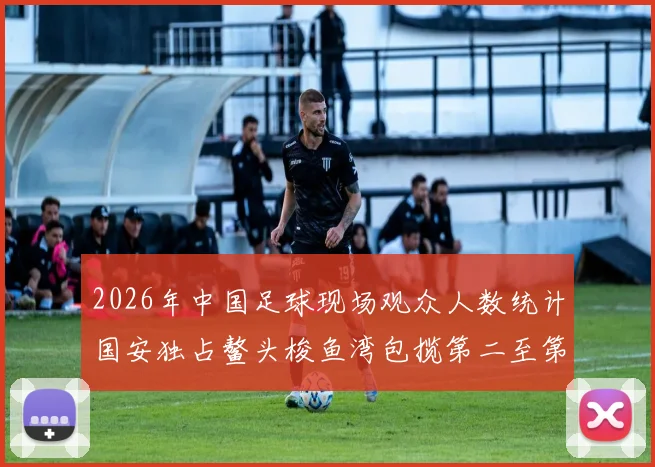 2026年中国足球现场观众人数统计国安独占鳌头梭鱼湾包揽第二至第七位