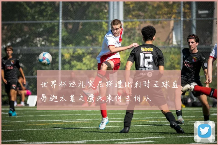 世界杯巡礼突尼斯遭比利时五球羞辱迦太基之鹰未来何去何从