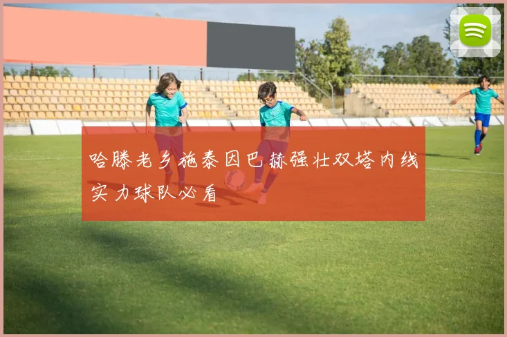 哈滕老乡施泰因巴赫强壮双塔内线实力球队必看